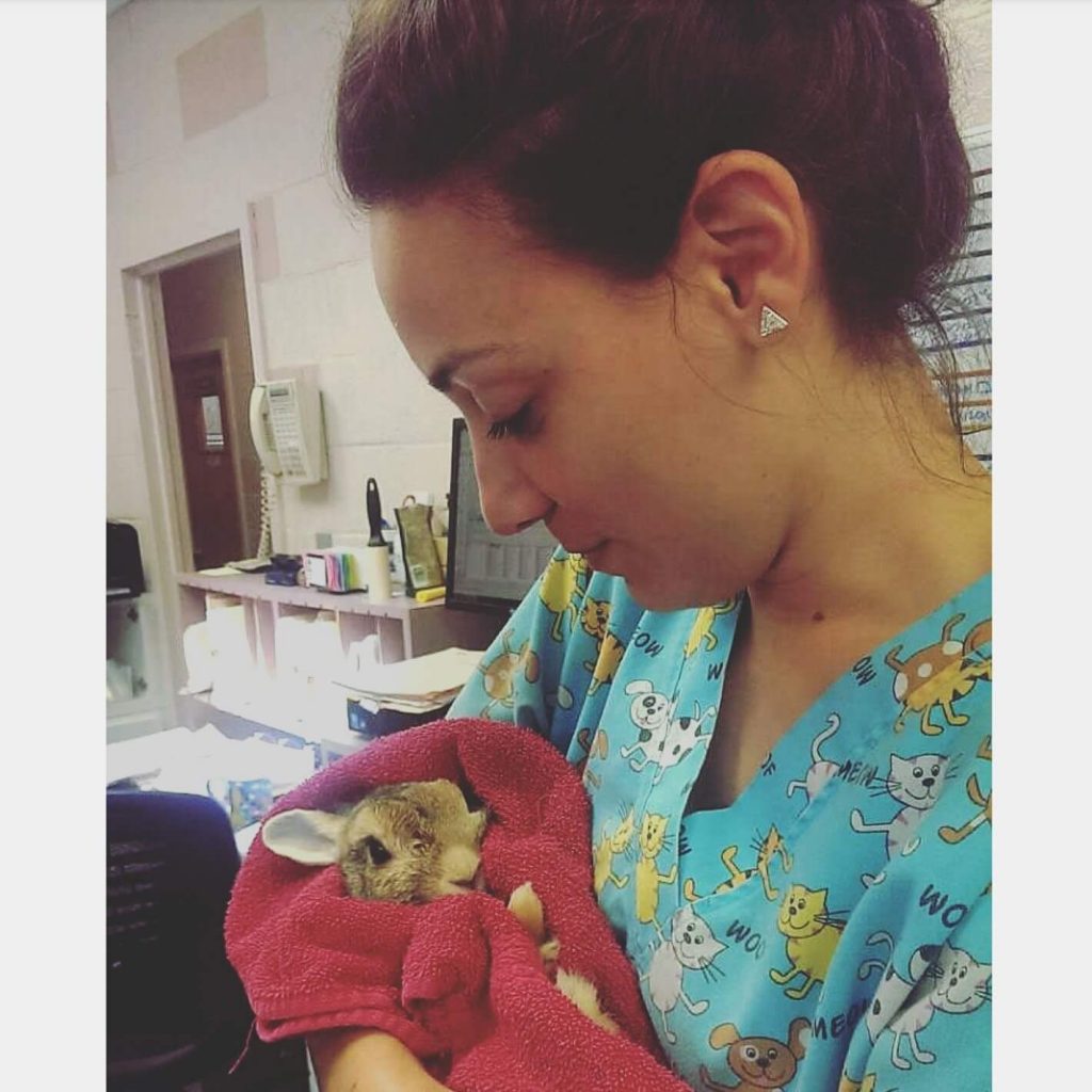 Patient image of: Sylvia Guglielmo